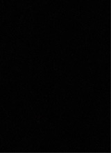 Guest_Shades5