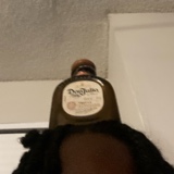 Guest_DHATTKIDZAM