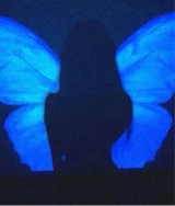 immagine avatar