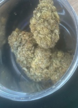 Guest_Darealsteppa4x