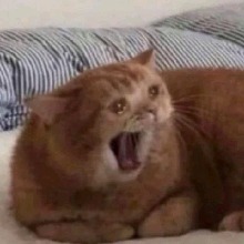 idk
