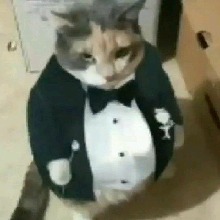 Guest_Fely2