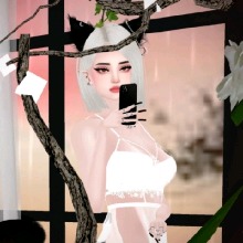 Guest_Bear876641