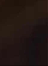 Guest_Ali387410
