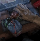 SH24RKZ