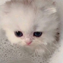 Guest_pinkprincess28