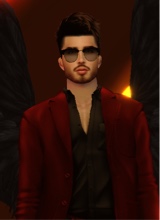 Guest_AeroVilla
