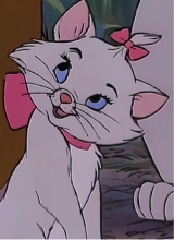 Guest_babyaurora7
