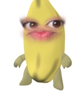 Guest_NezukoPlayXd