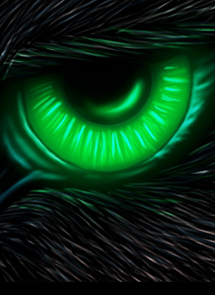Guest_Hawk09