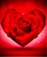 Guest_Xorla