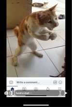 Guest_pdot5