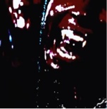 Guest_braxee