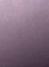 Guest_oopsey