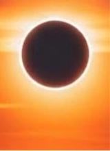 Guest_shadow286062