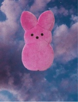 Guest_emobxby666
