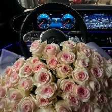 Guest_Dana410086