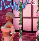 Guest_Aryaa18