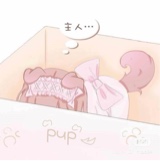 dumtoi