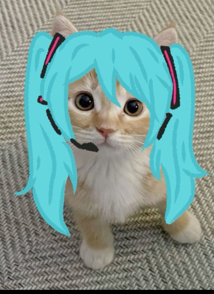 Bubsh