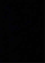 Guest_s4kur46