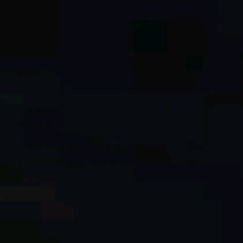 Guest_MayaraMuniz2