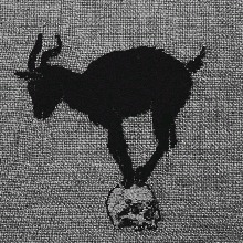 Valeriphix