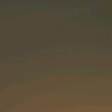 Guest_reallanguidlavencbb4