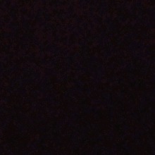 immagine avatar