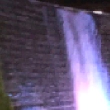 Guest_BabyMicheal1