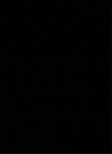 Guest_Jordyn270634