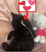 Jeansaggin