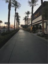 Guest_kayla316334