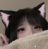 Guest_LDA3