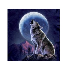 Guest_Moonwolf43