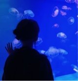 ynxm