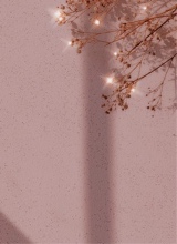 Guest_AlyssaLeighanne