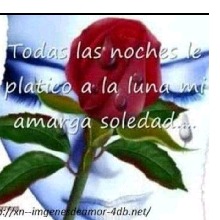 Guest_abrilspring