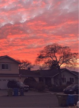 Guest_Jordyn321198