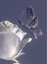 Guest_Clover498936