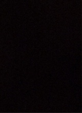 immagine avatar