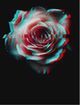 Guest_IHateMyself669