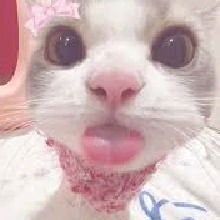 Guest_JustImani98