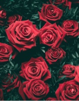 Guest_Khaki15