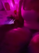 Guest_jasmin154625