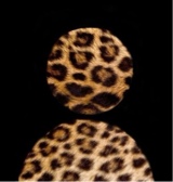 immagine avatar