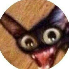 Guest_METAN0L
