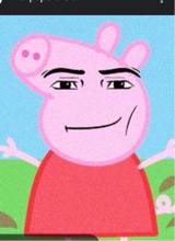 Guest_MiracleAllman