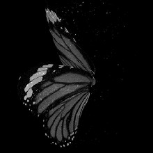 Guest_Michel277674