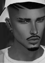 Guest_Vilo26
